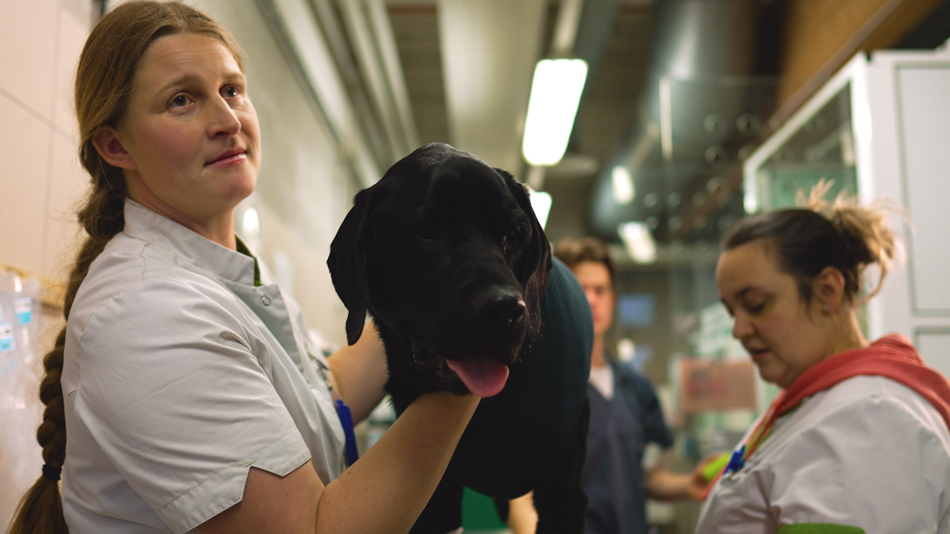 Een hart voor dieren en een olifantenvel: medewerkers van de