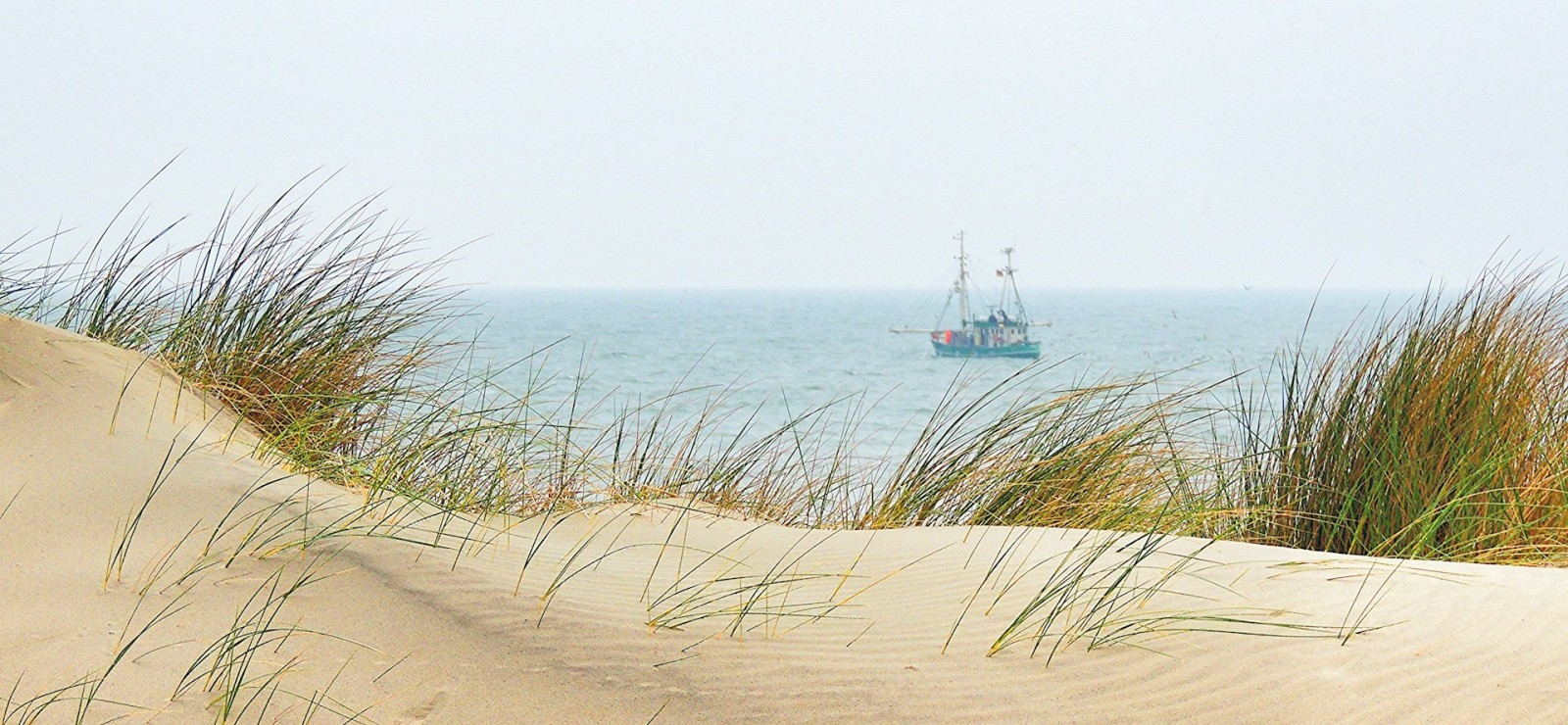 Gras in de duinen met zicht op een vissersboot op de Noordzee.