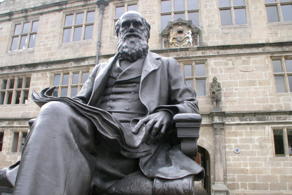 Standbeeld van Charles Darwin
