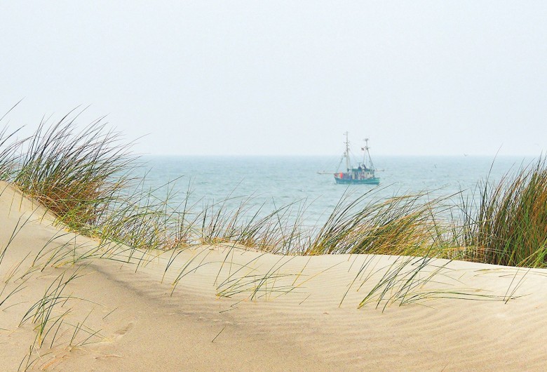 Gras in de duinen met zicht op een vissersboot op de Noordzee.
