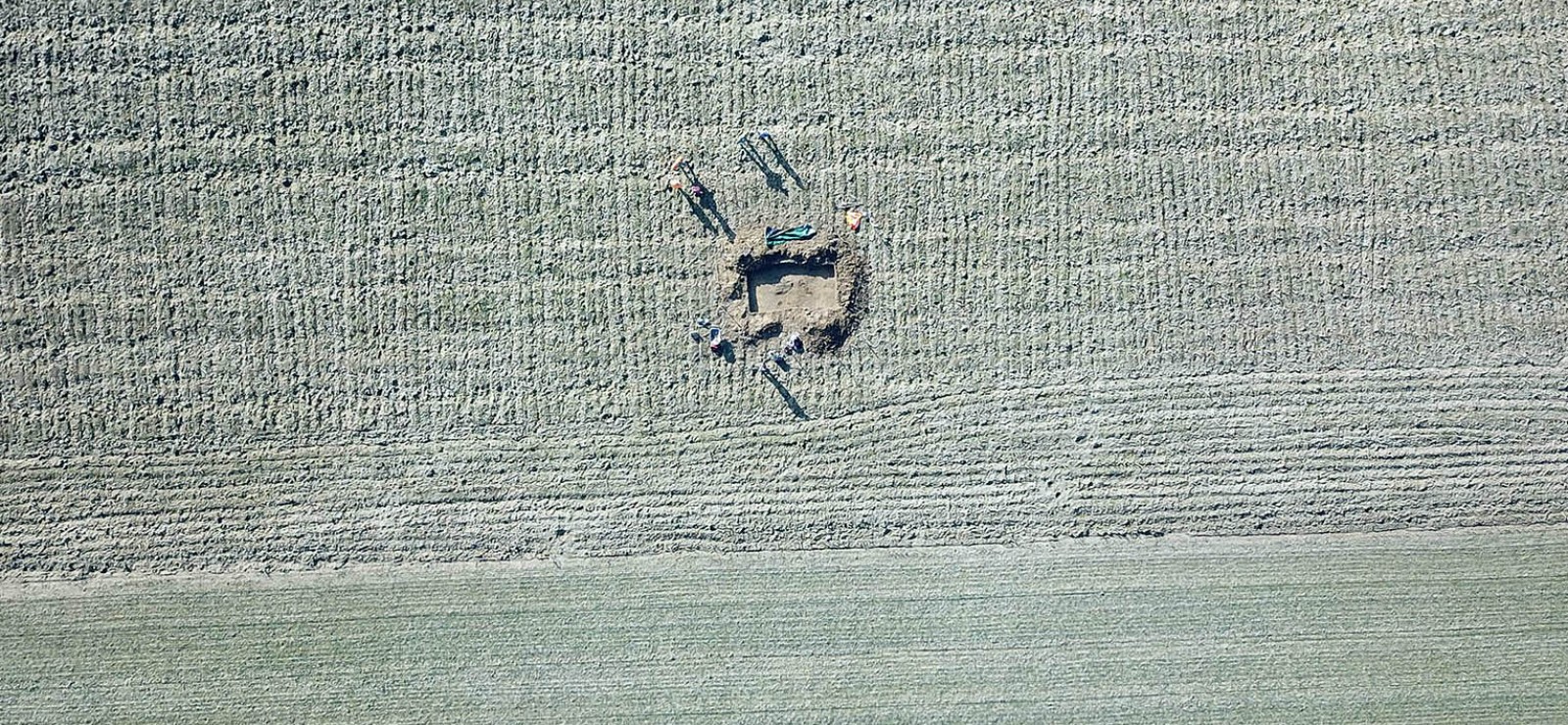 Landschap