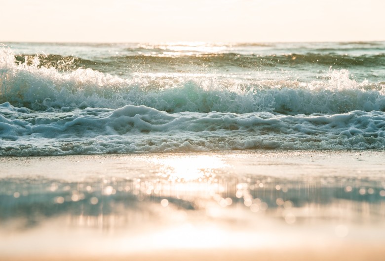 Header Noordzee