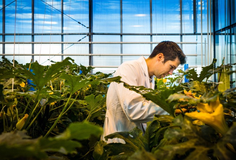 Biowetenschappen