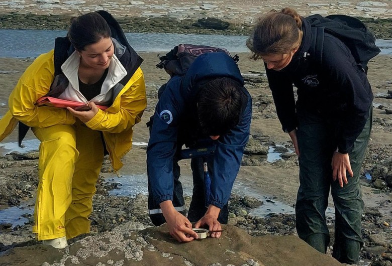 Geologie