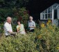 Plantentuin